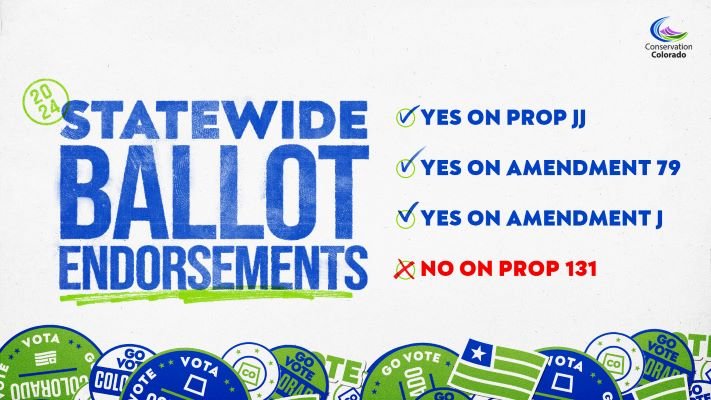 Statewide ballot endorsements graphic