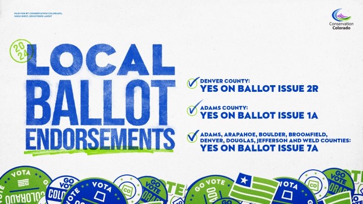 Local Ballot endorsements graphic