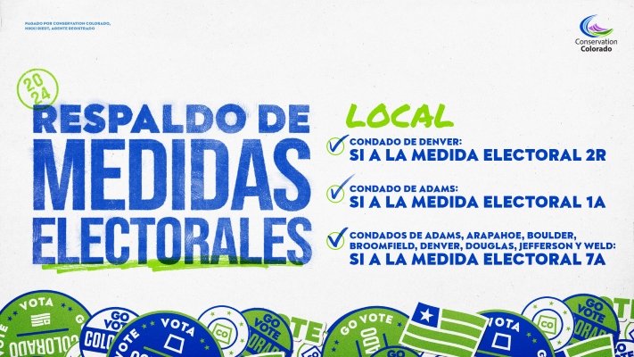 Respaldo de medidas electorales