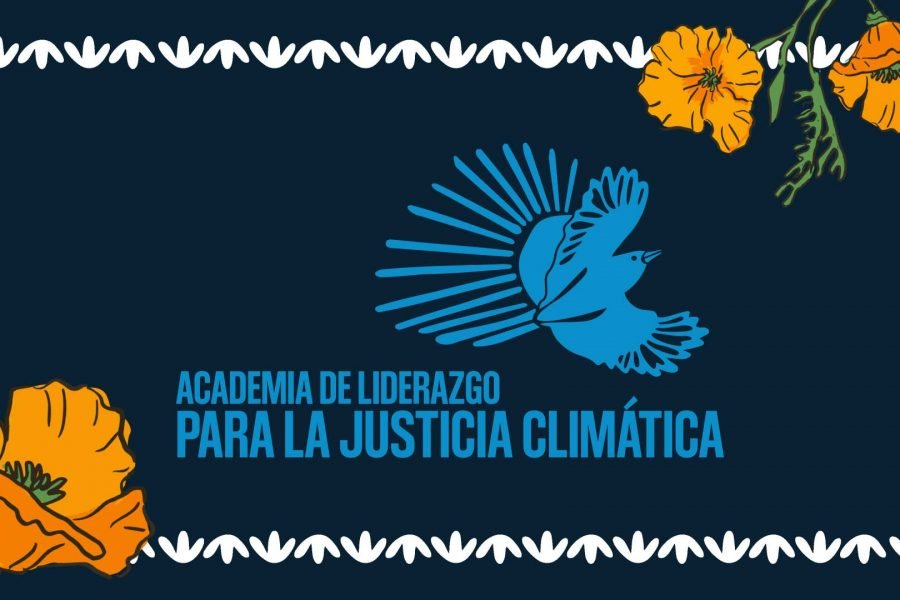 Gráfico para Academia de Liderazgo para la Justicia Climática