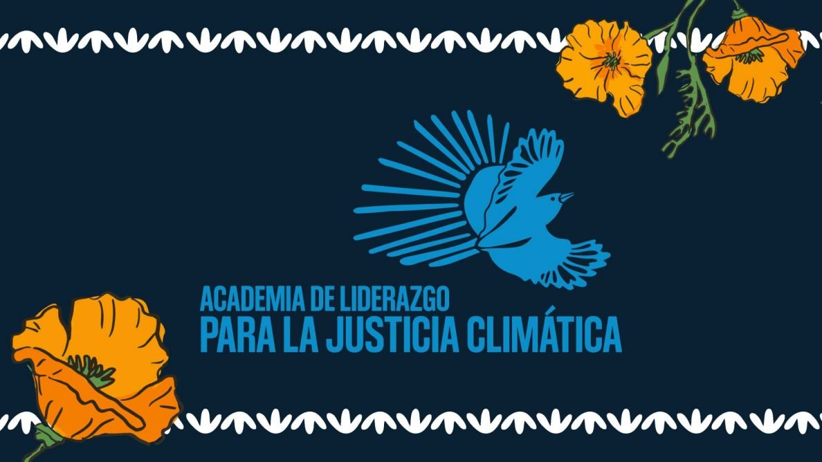 Gráfico para Academia de Liderazgo para la Justicia Climática